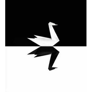 black-swan-theory-book-by-nassim-taleb-similar-to-arab-spring.jpg